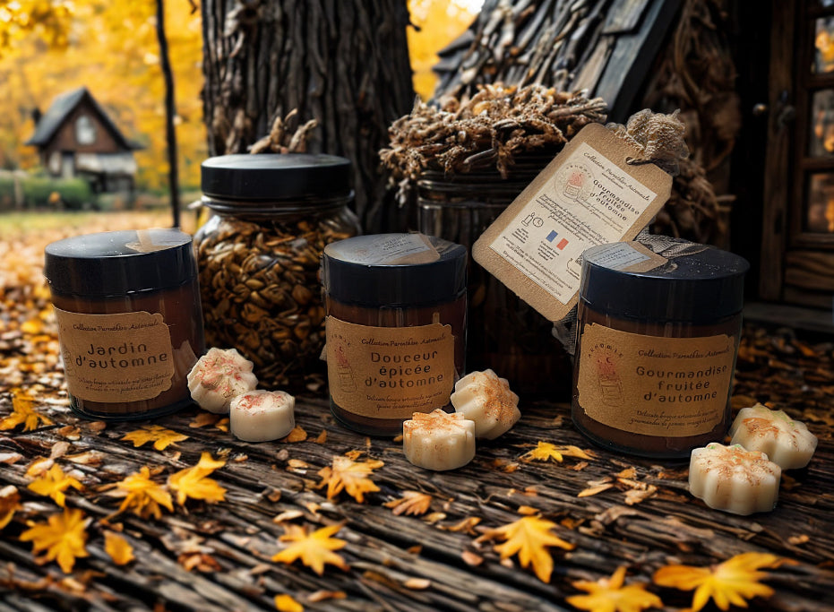 Collection Parenthèse Automnale